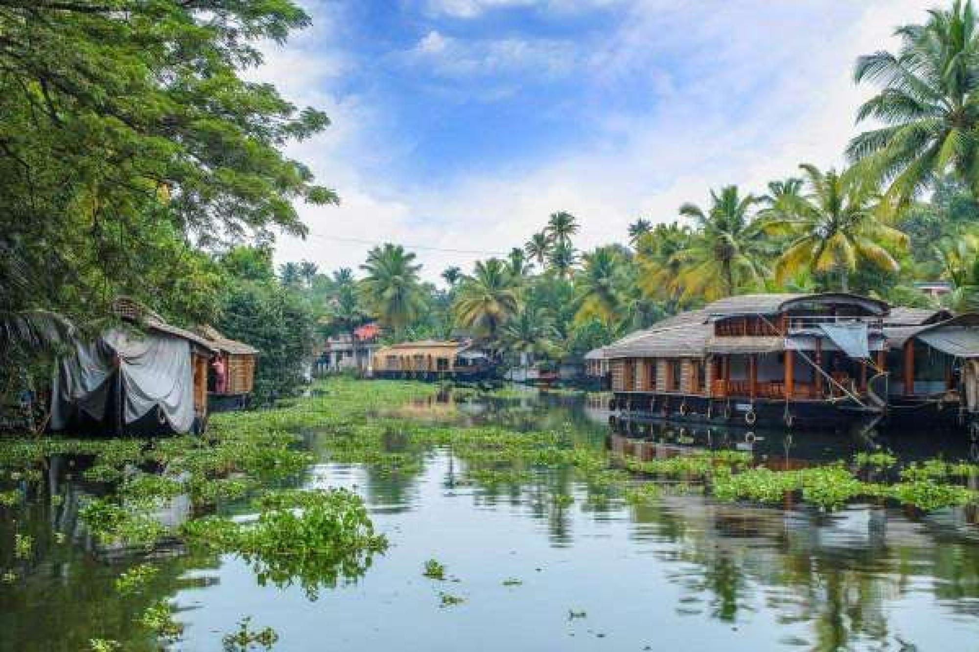 Kerala Honeymoon Tour